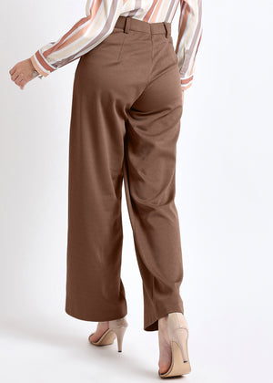 All Yours Brown Solid Front Pleated Trouser Back